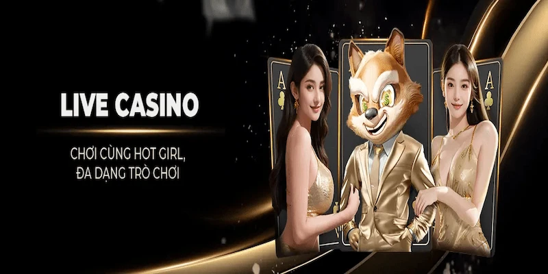 Vì sao live casino Soc88 được yêu thích