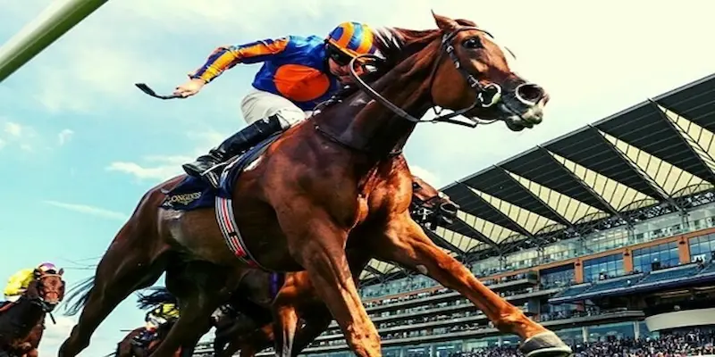 Các loại kèo đua ngựa Soc88 phổ biến