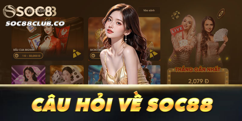 Đội ngũ hỗ trợ soc88 trực 24/7, sẵn sàng giải đáp thắc mắc và đồng hành cùng người chơi mọi lúc, mọi nơi.