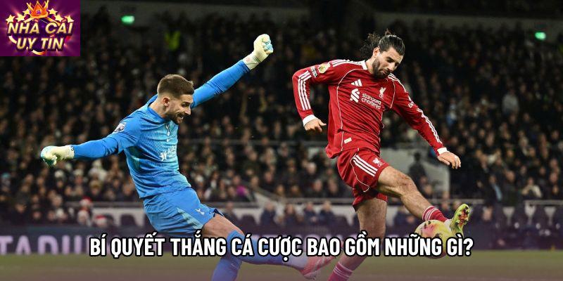 Bí quyết thắng cá cược bao gồm những gì?