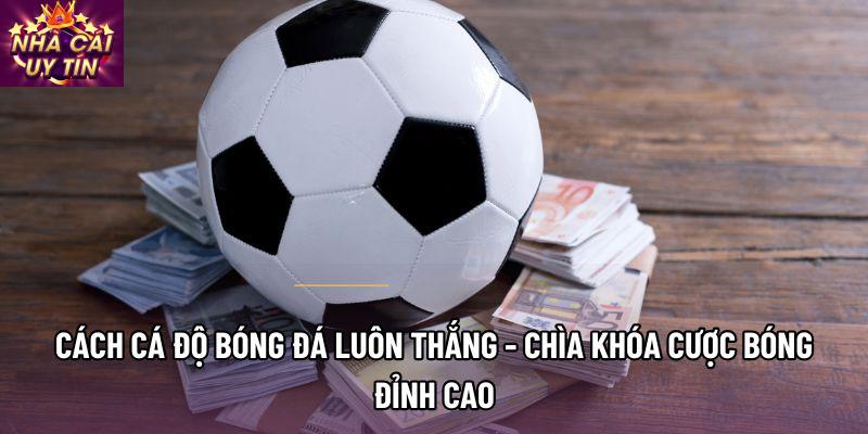 Cách Cá Độ Bóng Đá Luôn Thắng - Chìa Khóa Cược Bóng Đỉnh Cao