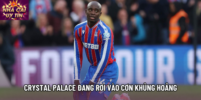 Crystal Palace đang rơi vào cơn khủng hoảng