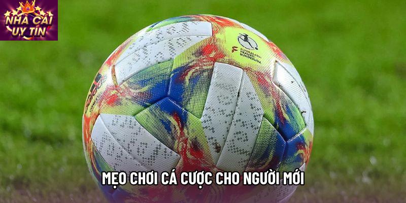 Mẹo Chơi Cá Cược Cho Người Mới Theo Hướng An Toàn 2026