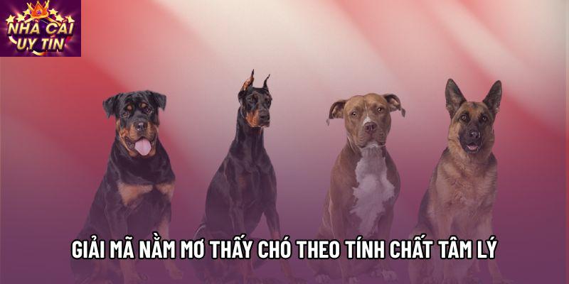 Giải mã nằm mơ thấy chó theo tính chất tâm lý
