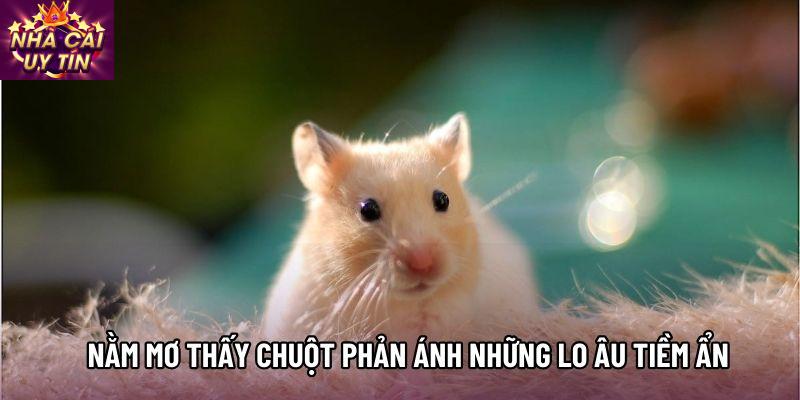 Nằm mơ thấy chuột phản ánh những lo âu tiềm ẩn