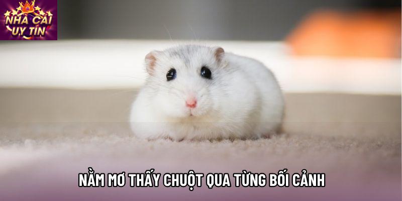 Giải mã nằm mơ thấy chuột qua từng bối cảnh cụ thể