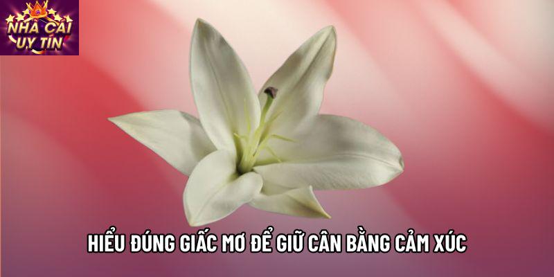 Hiểu đúng giấc mơ để giữ cân bằng cảm xúc